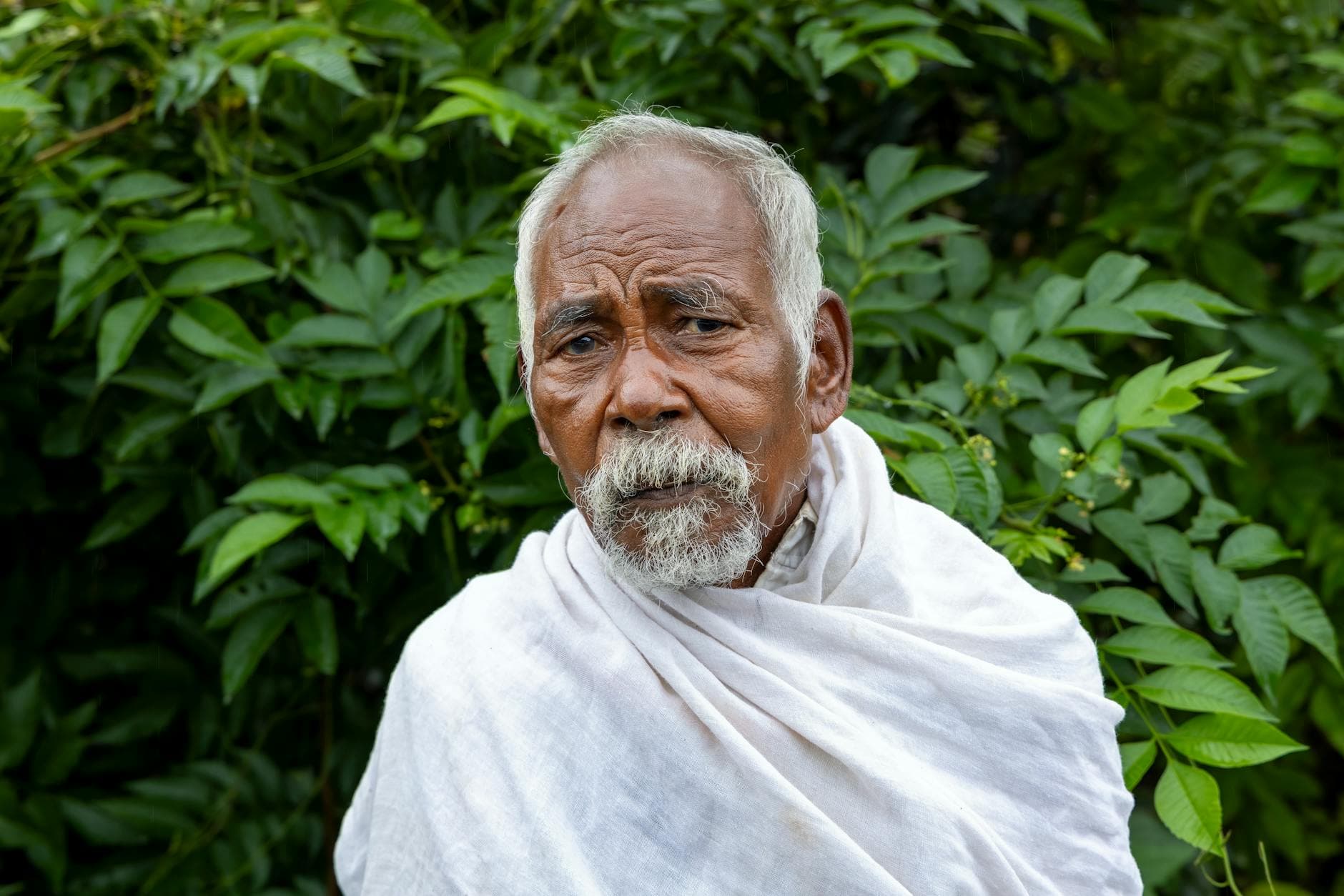A respected village elder, dignified in portrait
